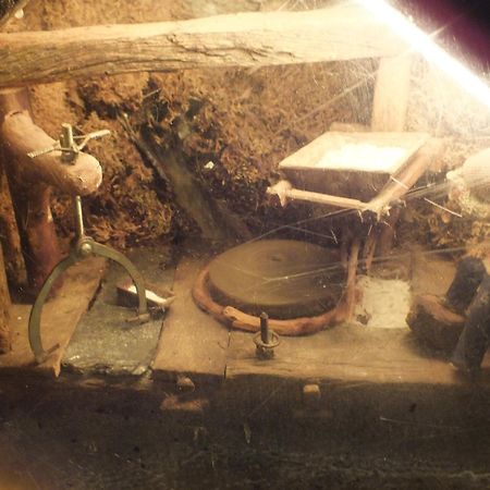 El Recreo De San Martin Sl Vendégház San Martín de Castañeda Kültér fotó
